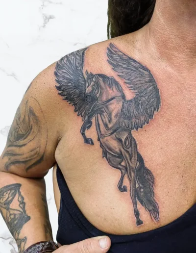 Chest pegasus